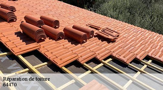 Réparation de toiture  64470