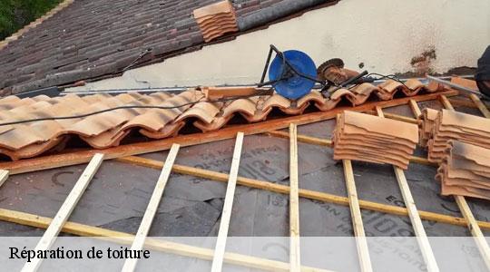 Réparation de toiture  64470