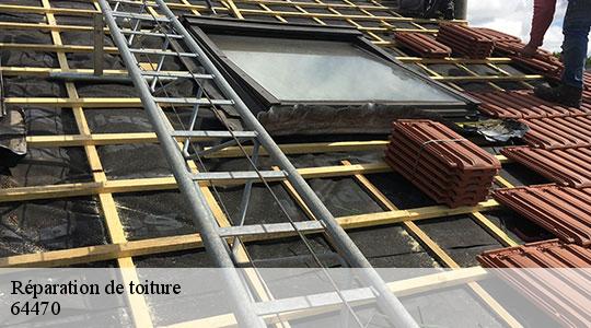 Réparation de toiture  64470