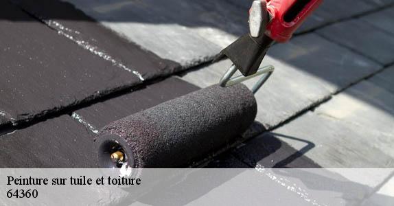 Peinture sur tuile et toiture  64360