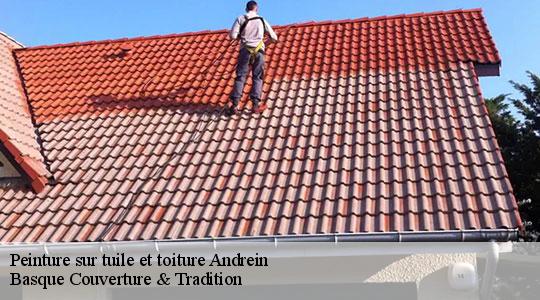 Peinture sur tuile et toiture  64390