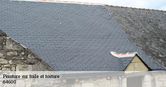 Peinture sur tuile et toiture  64600