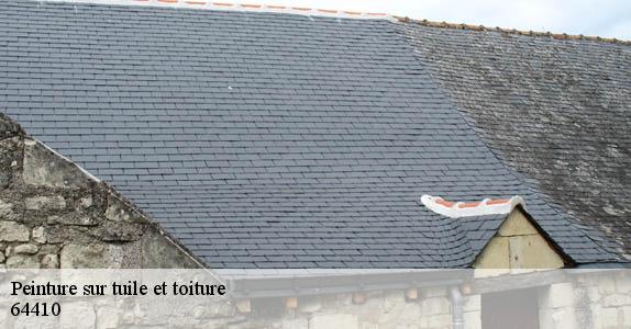 Peinture sur tuile et toiture  64410