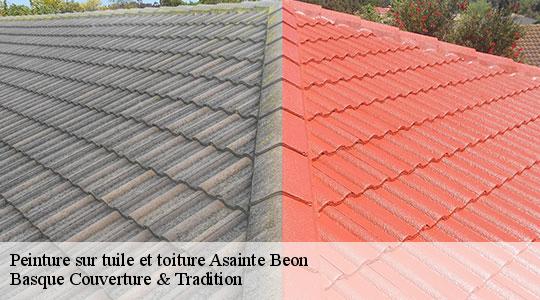 Peinture sur tuile et toiture  64260