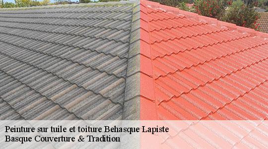Peinture sur tuile et toiture  64120