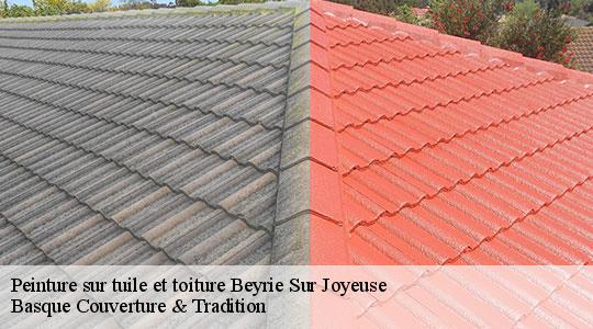 Peinture sur tuile et toiture  64120