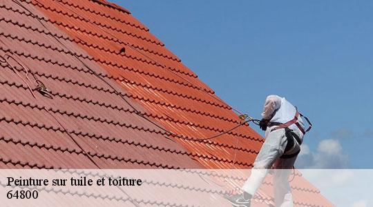 Peinture sur tuile et toiture  64800