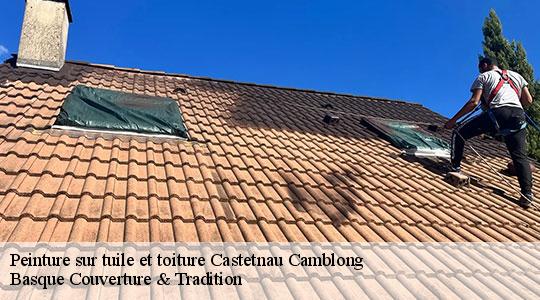 Peinture sur tuile et toiture  castetnau-camblong-64190 Basque Couverture & Tradition