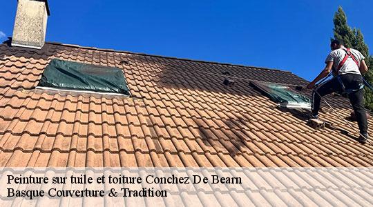 Peinture sur tuile et toiture  conchez-de-bearn-64330 Basque Couverture & Tradition