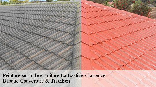 Peinture sur tuile et toiture  64240
