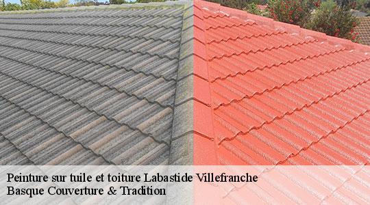 Peinture sur tuile et toiture  64270