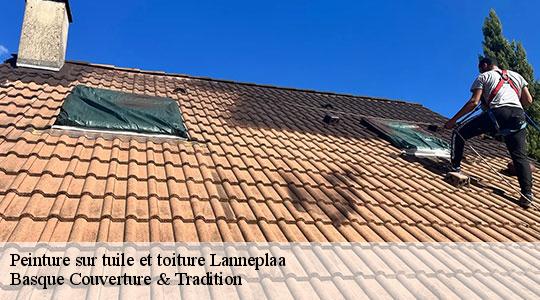 Peinture sur tuile et toiture  lanneplaa-64300 Basque Couverture & Tradition