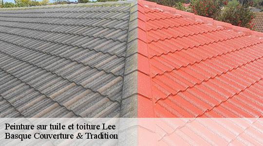 Peinture sur tuile et toiture  64320