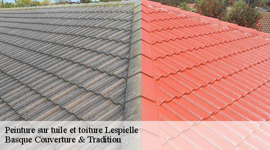 Peinture sur tuile et toiture  64350