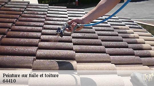Peinture sur tuile et toiture  64410