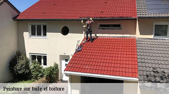 Peinture sur tuile et toiture  64410