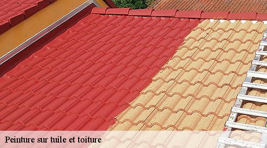 Peinture sur tuile et toiture  64160
