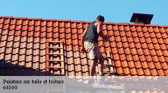 Peinture sur tuile et toiture  64160