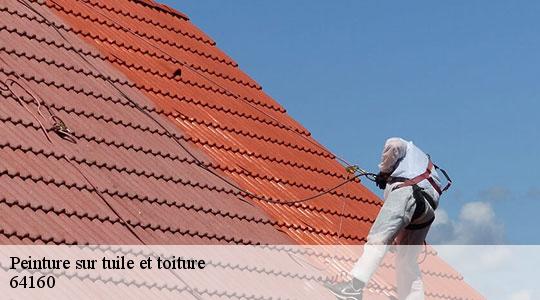 Peinture sur tuile et toiture  64160
