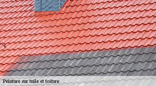 Peinture sur tuile et toiture  64160