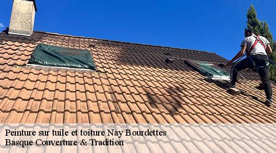 Peinture sur tuile et toiture  nay-bourdettes-64800 Basque Couverture & Tradition