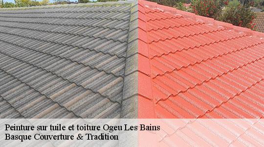 Peinture sur tuile et toiture  64680