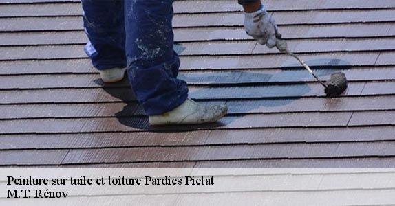 Peinture sur tuile et toiture  64800