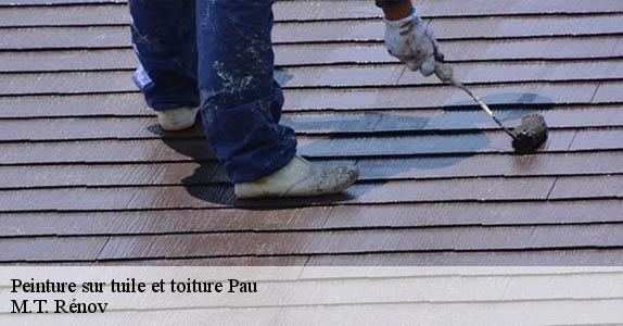 Peinture sur tuile et toiture  64000