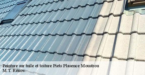 Peinture sur tuile et toiture  piets-plasence-moustrou-64410 M.T. Rénov