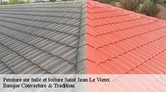Peinture sur tuile et toiture  64220