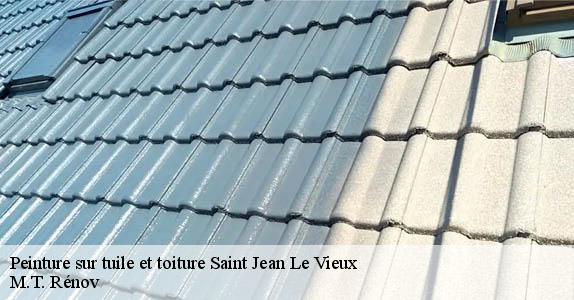 Peinture sur tuile et toiture  saint-jean-le-vieux-64220 Laffont Rénovation