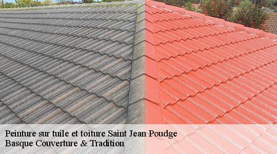 Peinture sur tuile et toiture  64330