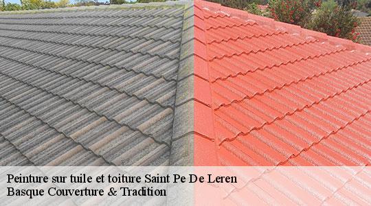 Peinture sur tuile et toiture  64270