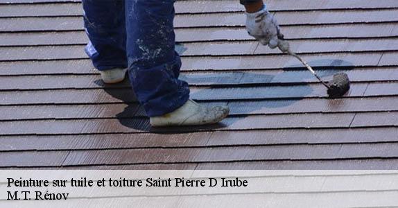 Peinture sur tuile et toiture  64990