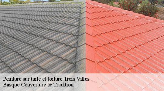 Peinture sur tuile et toiture  64470