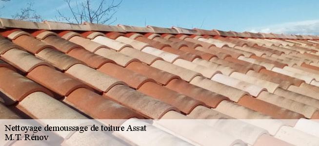 Nettoyage demoussage de toiture  64510