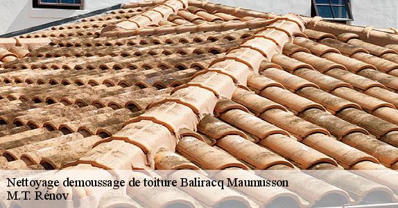 Nettoyage demoussage de toiture  baliracq-maumusson-64330 M.T. Rénov