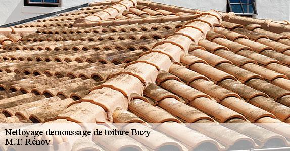 Nettoyage demoussage de toiture  buzy-64260 M.T. Rénov