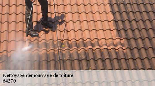 Nettoyage demoussage de toiture  64270