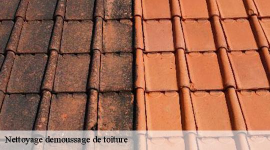 Nettoyage demoussage de toiture  64270