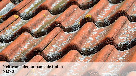 Nettoyage demoussage de toiture  64270
