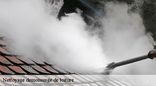 Nettoyage demoussage de toiture  64270