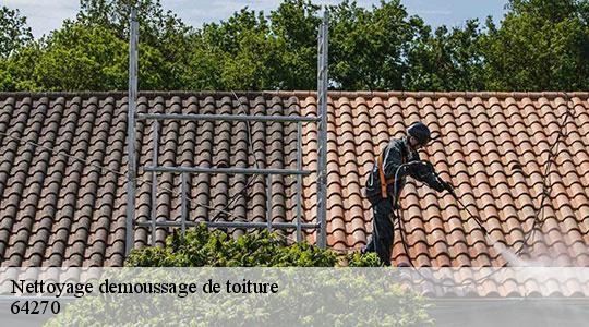Nettoyage demoussage de toiture  64270