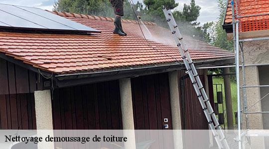 Nettoyage demoussage de toiture  64270