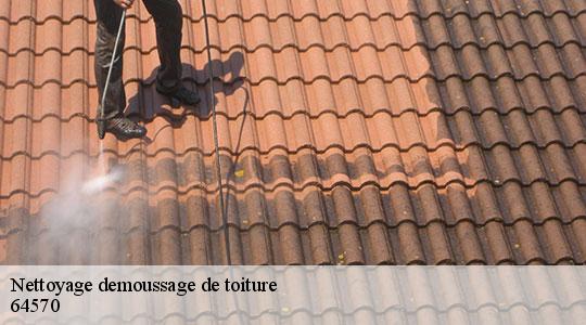 Nettoyage demoussage de toiture  64570