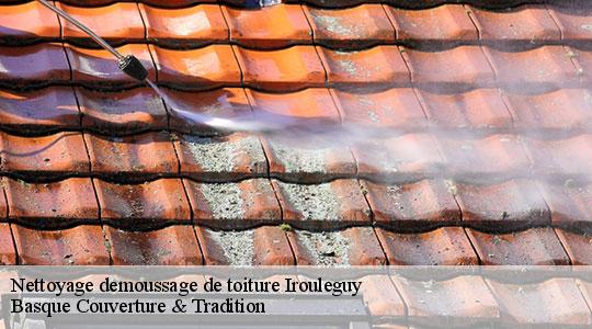 Nettoyage demoussage de toiture  irouleguy-64220 Basque Couverture & Tradition