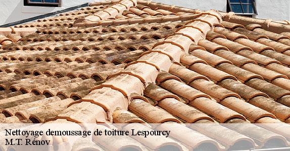 Nettoyage demoussage de toiture  lespourcy-64160 M.T. Rénov