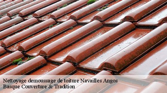 Nettoyage demoussage de toiture  64450