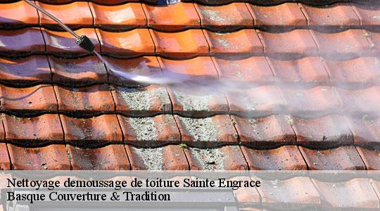 Nettoyage demoussage de toiture  sainte-engrace-64560 Basque Couverture & Tradition