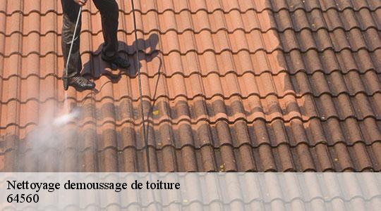 Nettoyage demoussage de toiture  64560